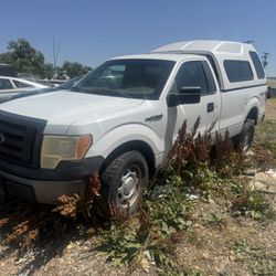 2010 Ford F-150