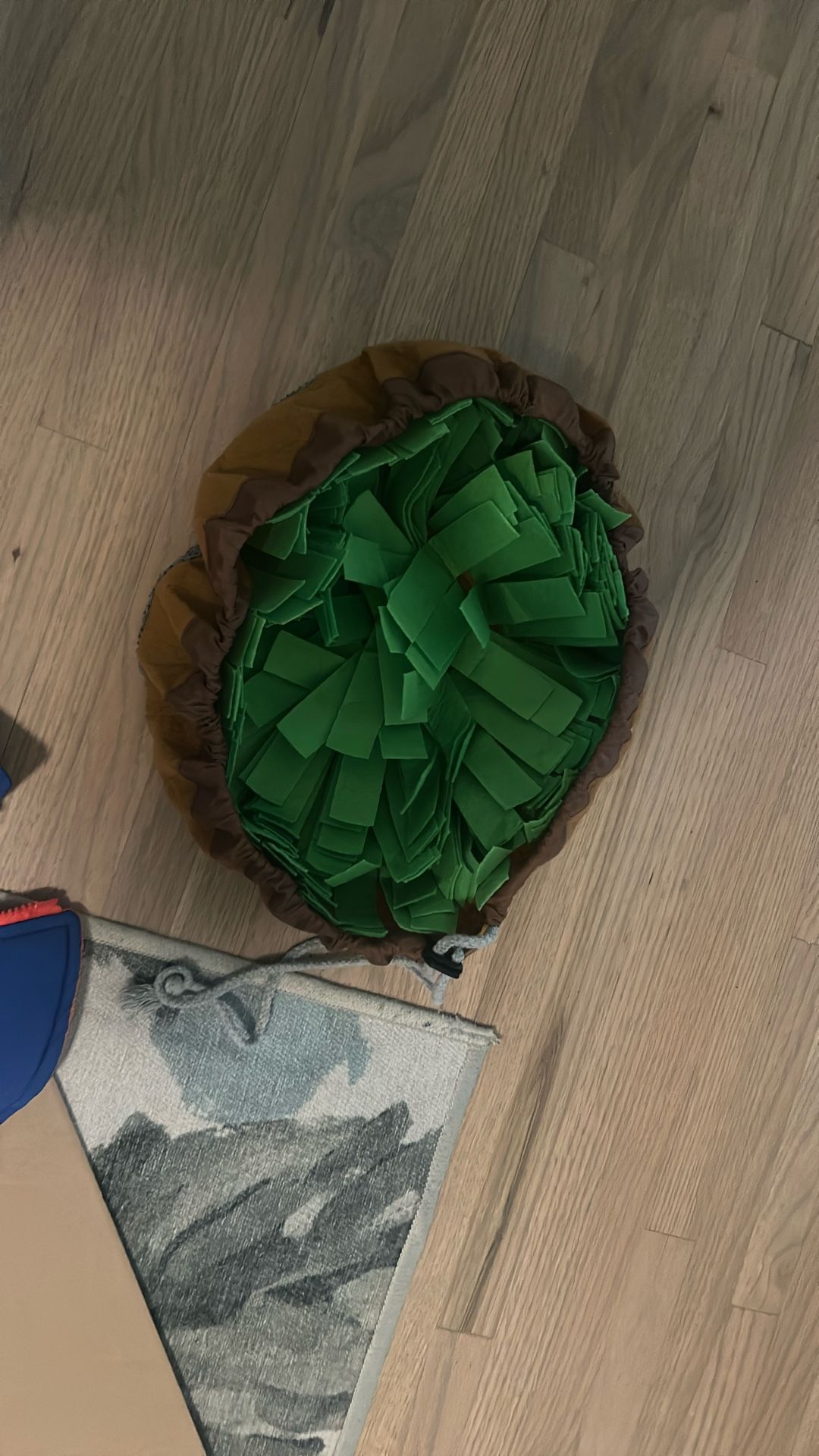 Dog Stuff For Small/medium Dog (frenchie) 