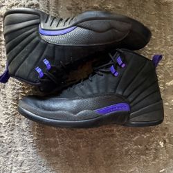 Men’s Jordan 12s Dark Concord