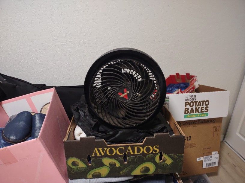 Portable fan