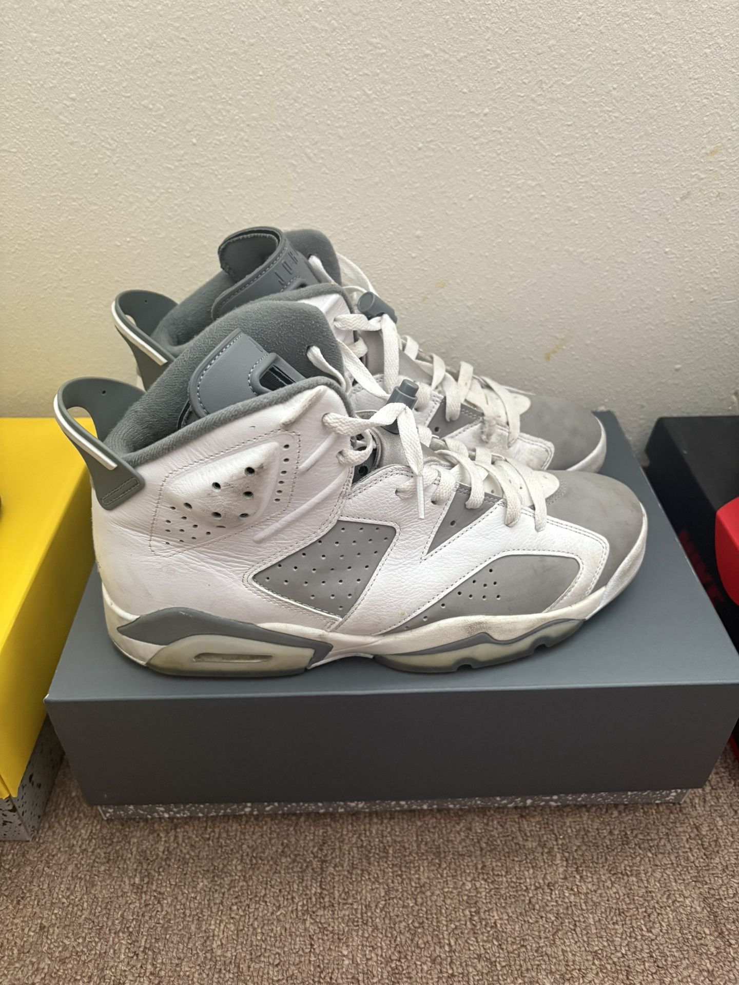 Retro Cool Grey Jordan 6