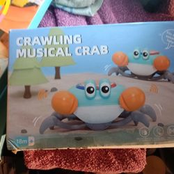 Crawling Crab 🦀