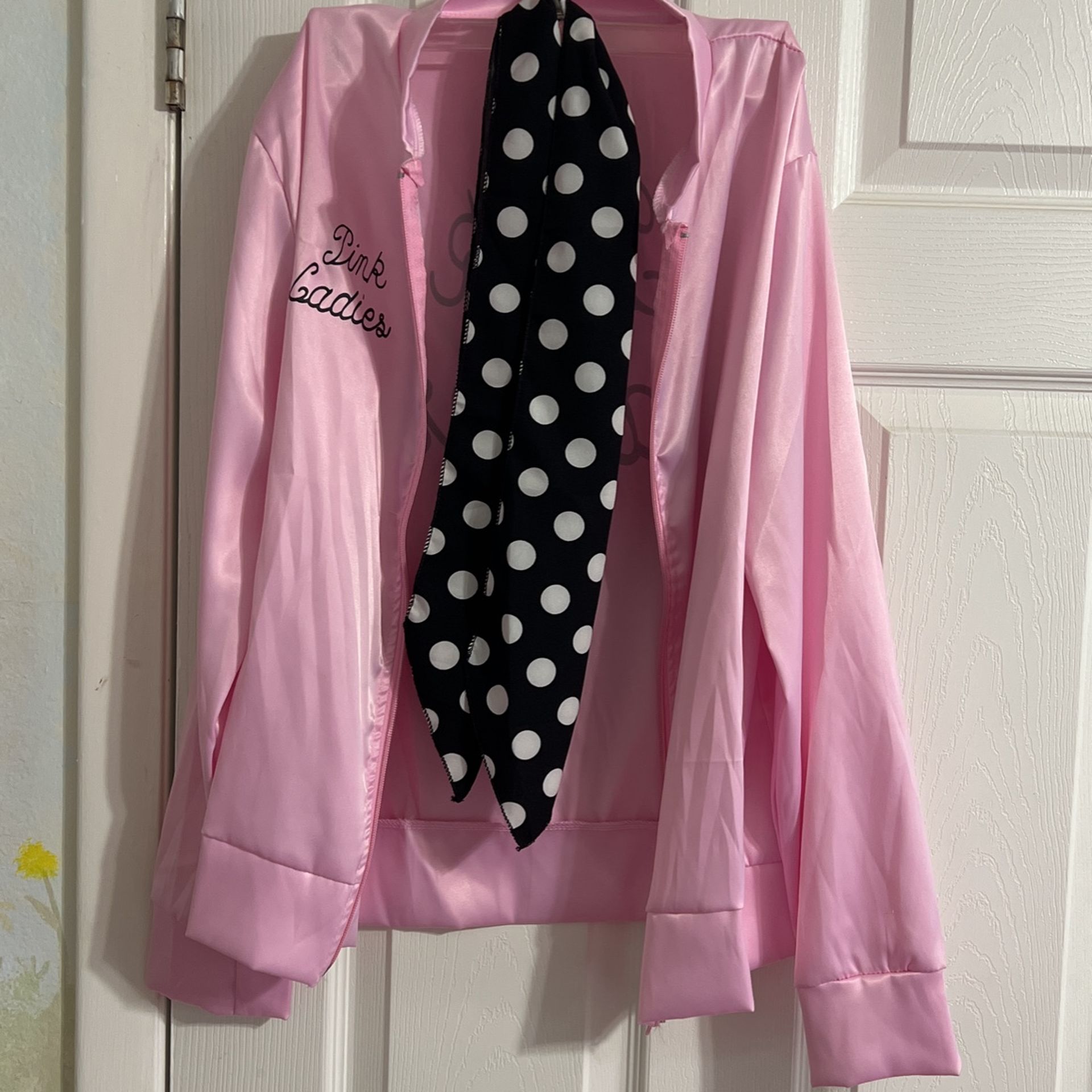 Pink Ladies Costume Adult Small
