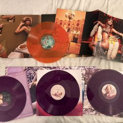 Taylor Swift Vinyl Records LP 