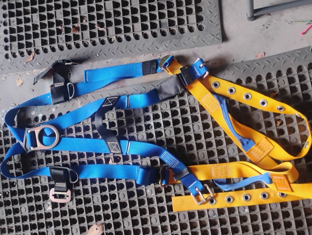 Werner Basewear Harness
