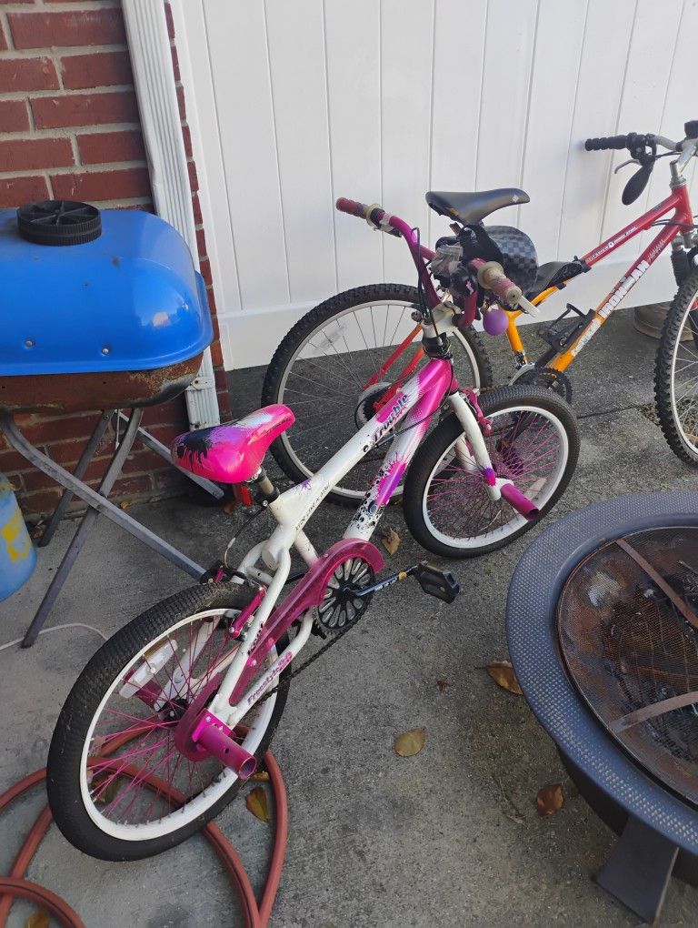 Selling Two Bikes