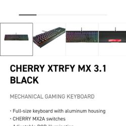 Gaming Keyboard Full Size Mechanical