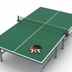 Ping pong table with net, paddle and balls