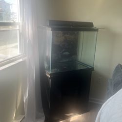 40 Gallon Fish Tank w/stand, filters and heaters 
