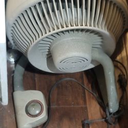 Fan