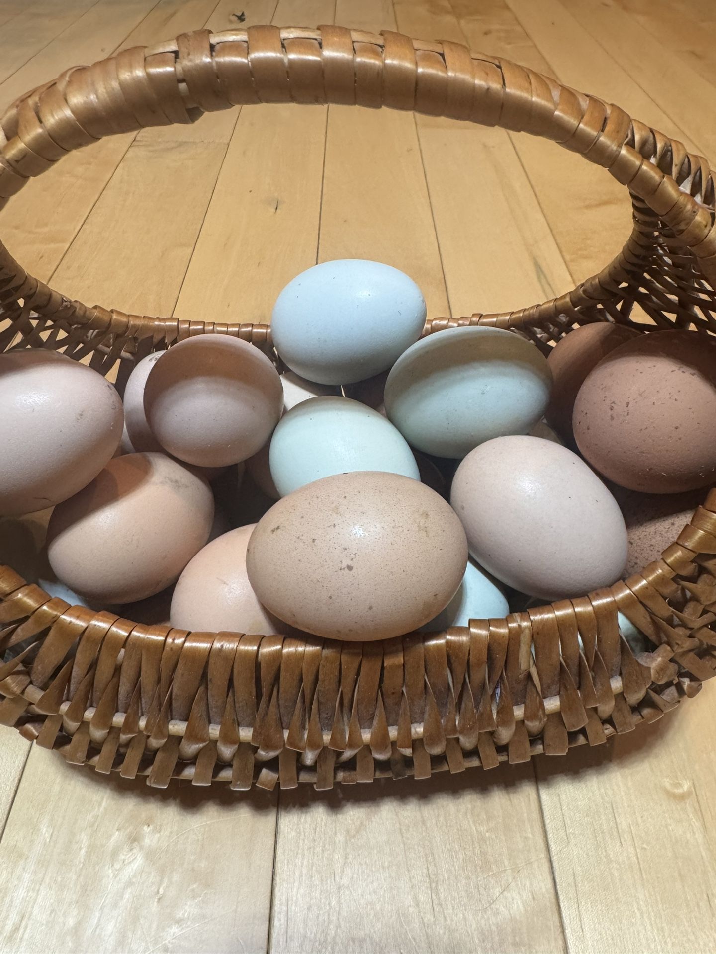 Fresh Organic Eggs