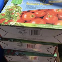 Tomato 🍅 Planters it makes your plants to look beautiful