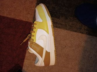 Nike dunks only worn twice