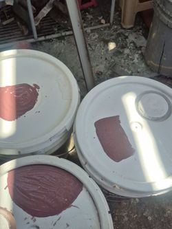 Pinturas Nuevas Exterior Marca Behr $100 cada una
