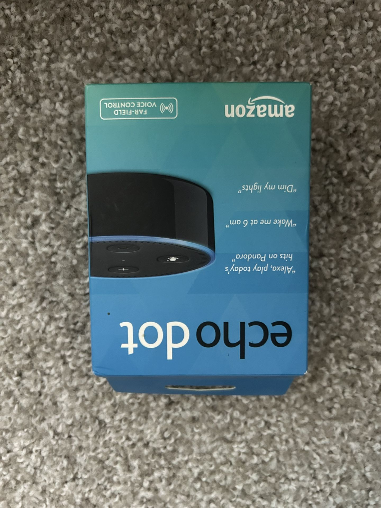 Echo Dot