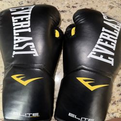 Everlast Gloves