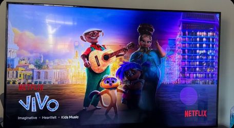 65” Samsung Tv