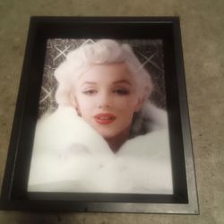 MARILYN MONROE 