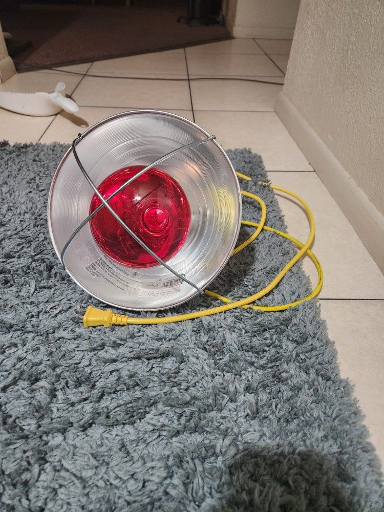 Incubation Light