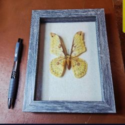 Golden Moth Wall Art
