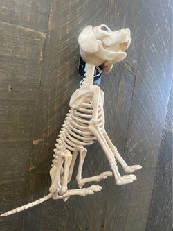 NEW- Skeleton dog figurine