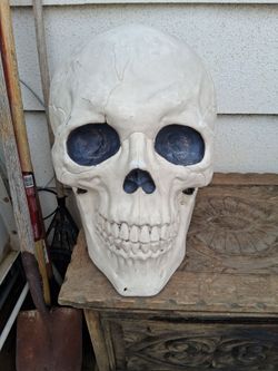 Large Skull Decoration