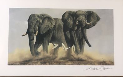 The Last Frontier by Andrew Bone