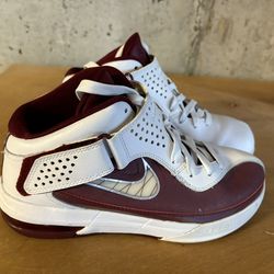 LeBron James Nike Shoes