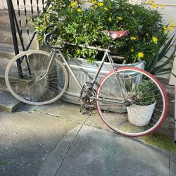 Vintage Fuji Single Speed Bike - 54” (MUST GO TODAY! 3/8)