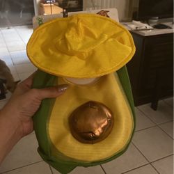 X Small Dog Avocado Costume
