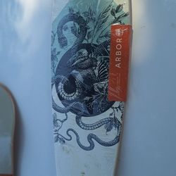 8.375x37 Arbor Performance Axis 37 Bamboo Longboard Deck