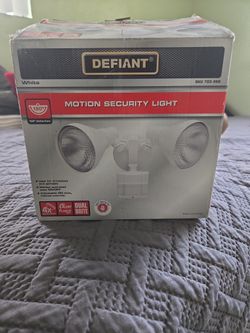 Motion Security Light