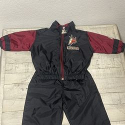 Youth Phoenix Coyotes NHL Track Suit