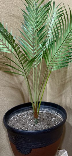 Beautiful fake sago palm plant in very nice big pot