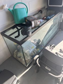 125 Lbs Fish Tank/w Pump