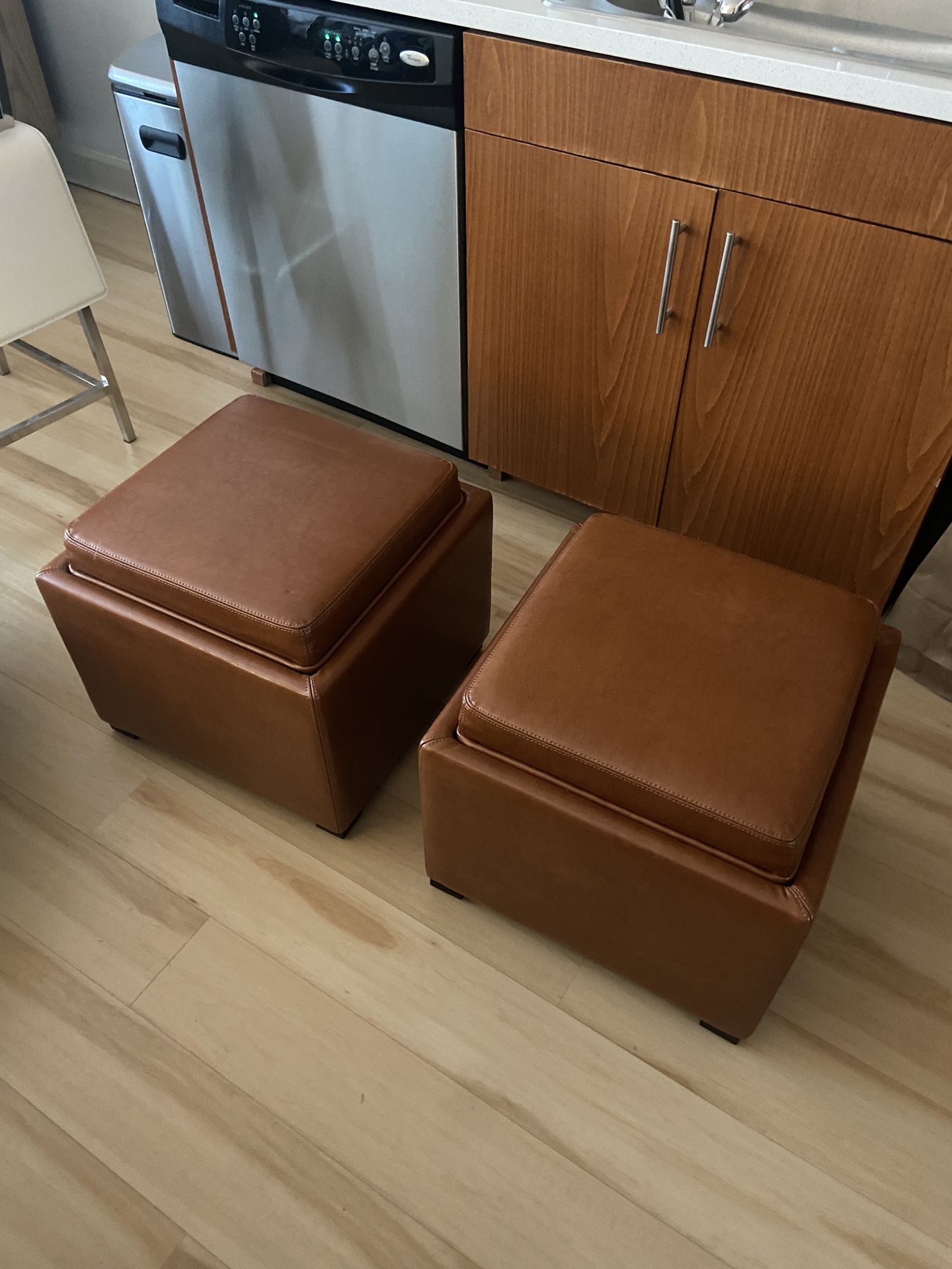 Ottoman With Storage/Table (x2)
