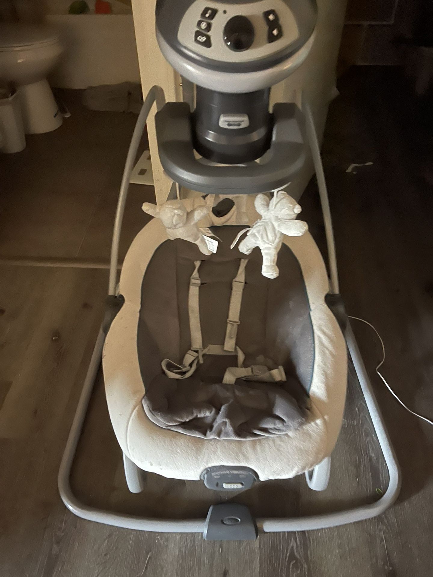 Graco DuetSooth Swing