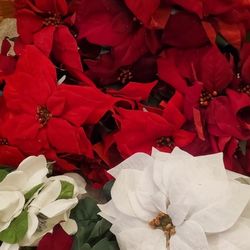 flowers decoration for Christmas