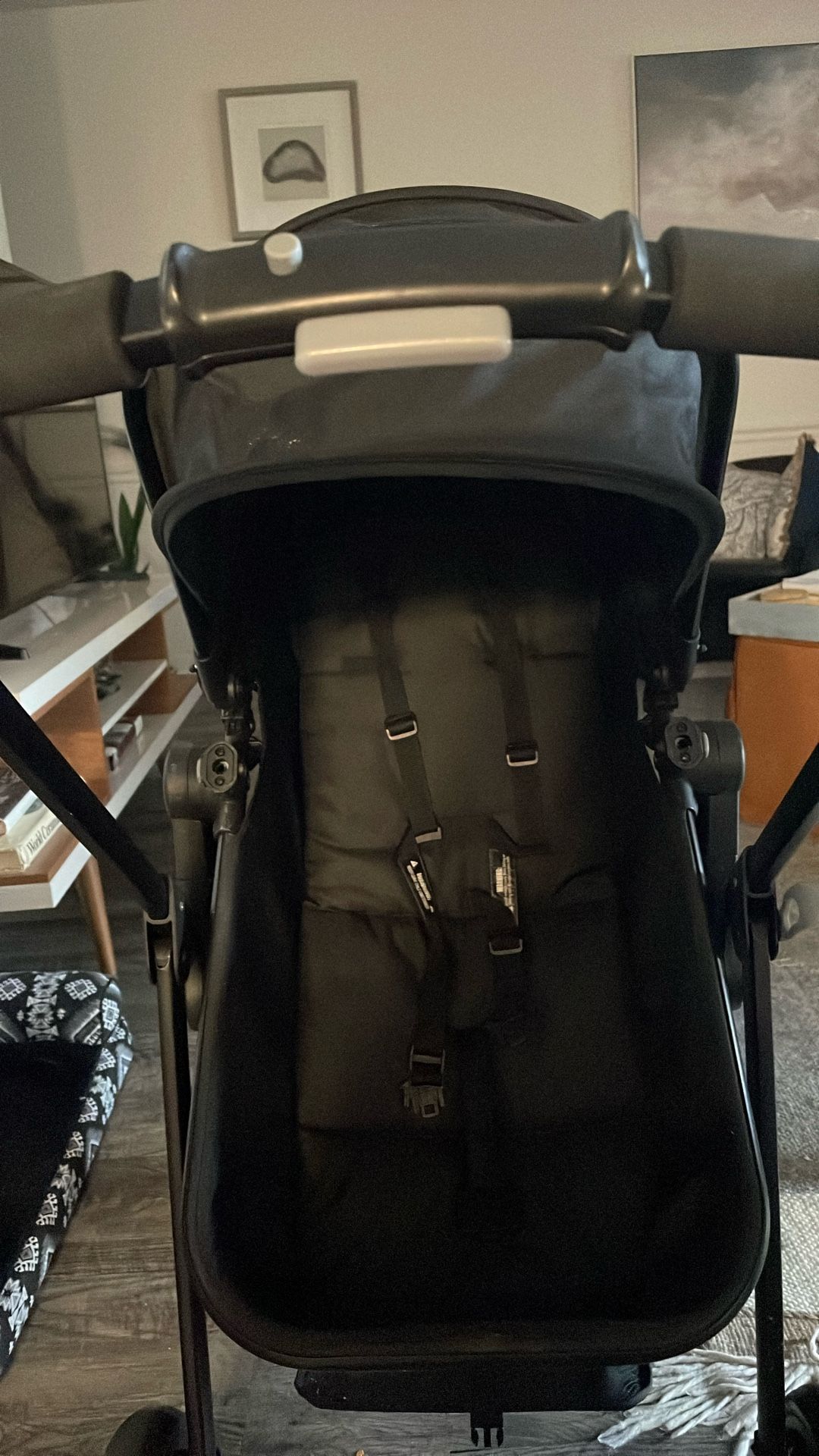 Baby Joy Stroller/bassinet