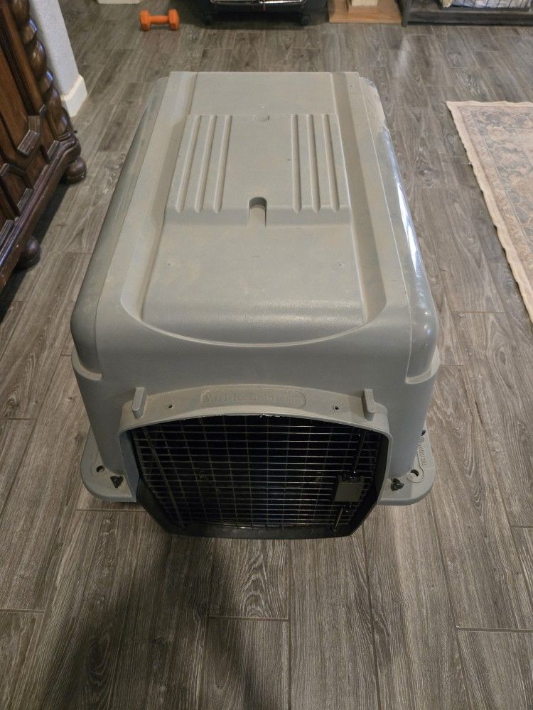 New Enclosed Dog Kennel