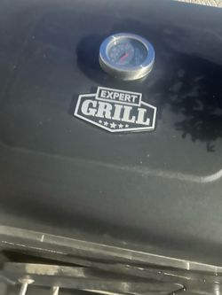 Expert grill bar b q pit