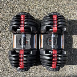 Bowflex Adjustable Weights
