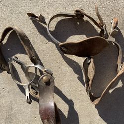Horse Riding Spurs 