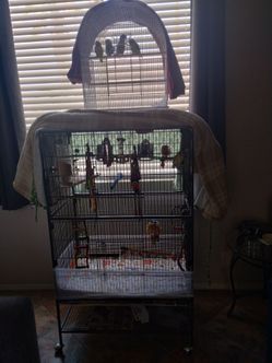 Bird cages