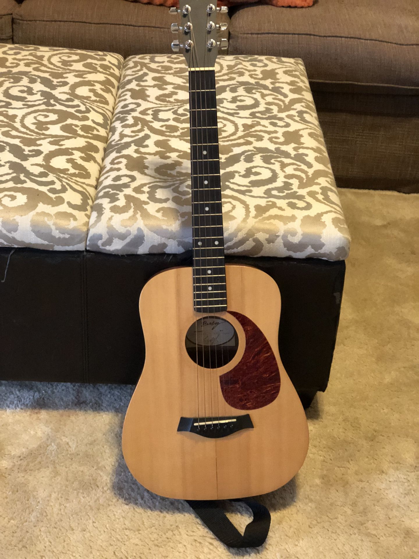Baby Taylor Series Model 300