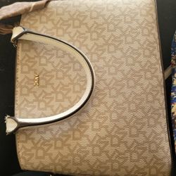 DKNY Purse