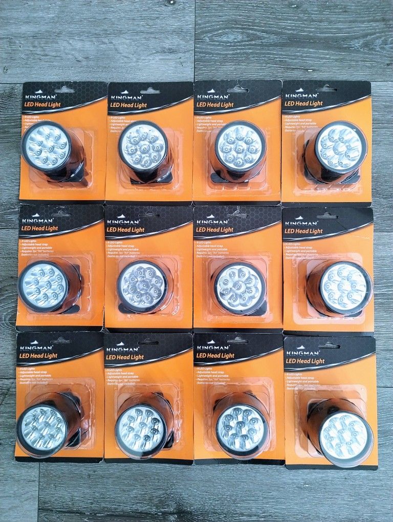 New LED Head Light - $5