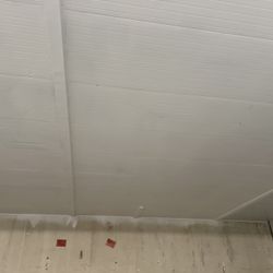 12” Ceiling Panel SW/SW 