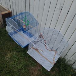 Bird Cages