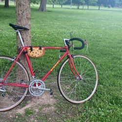 Nishki Olypian Road Bike 